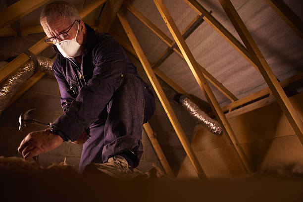 Best Insulation Installation Services in Itta Bena, MS
